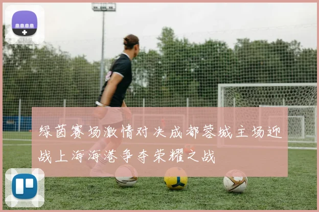 绿茵赛场激情对决成都蓉城主场迎战上海海港争夺荣耀之战