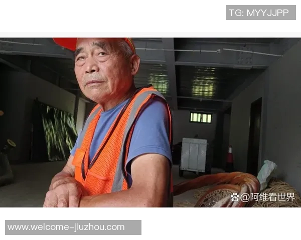 艾泽里谈追梦精神大卫李受伤后他迎来职业生涯新机遇 艾泽里谈追梦精神大卫李受伤后他迎来职业生涯新机遇